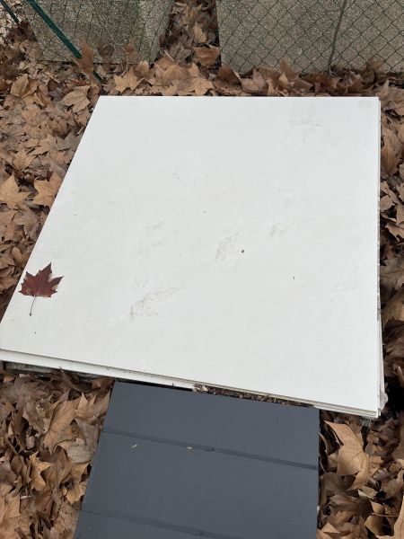 Carrelage blanc